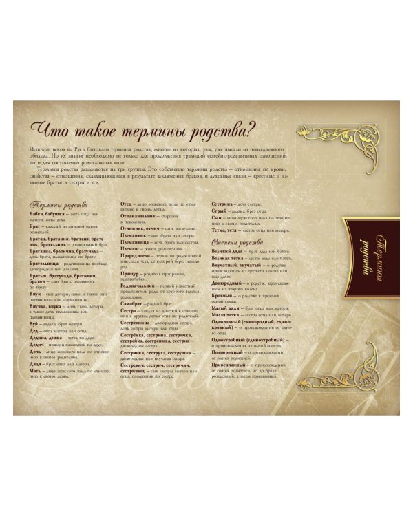 Родословная книга нашей семьи (синяя)