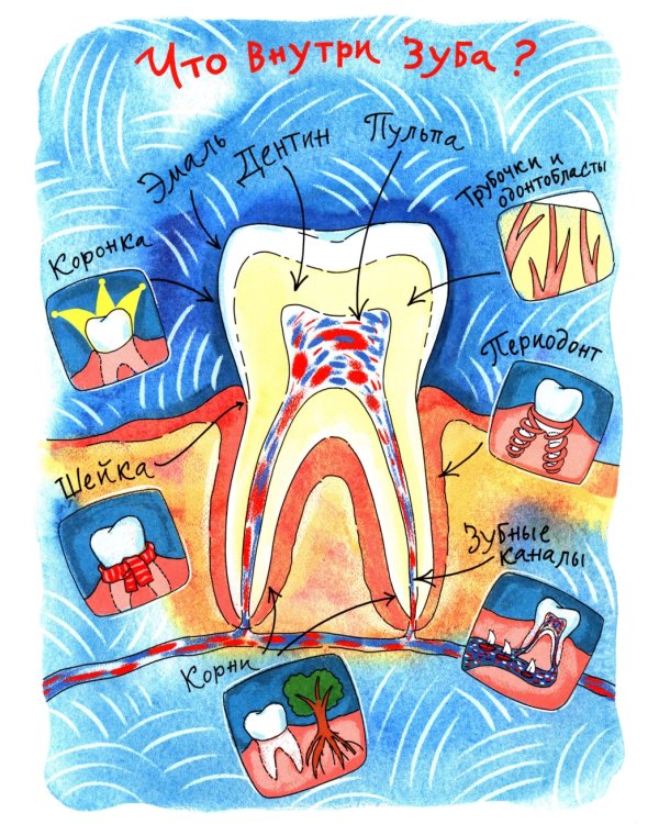 Зубная книжка. Вып. 250. 2-е изд
