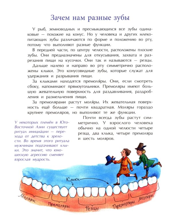 Зубная книжка. Вып. 250. 2-е изд