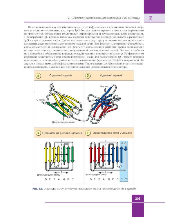 Иммунология. Атлас. 3-е изд., обновл