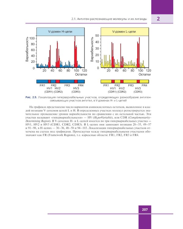 Иммунология. Атлас. 3-е изд., обновл