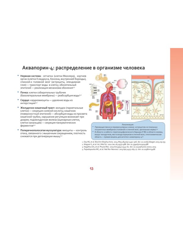 Оптиконевромиелит в фокусе. Практическое руководство в схемах и таблицах