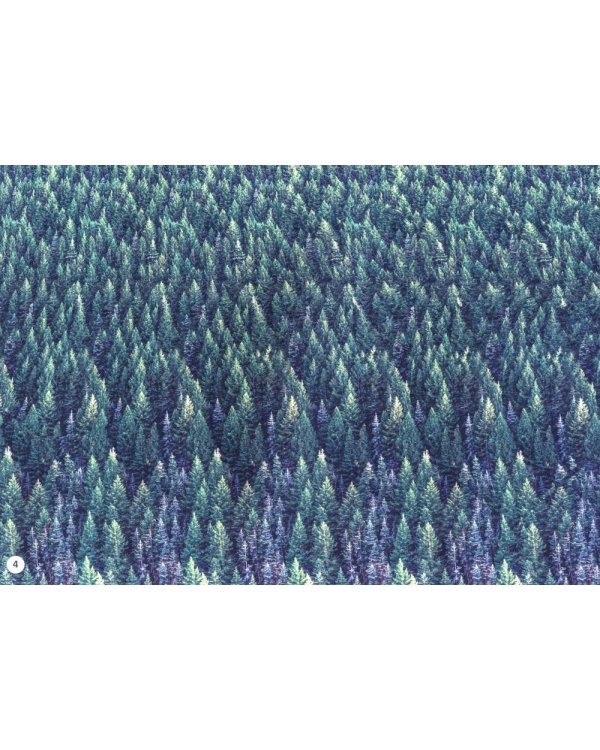 Альбом для тренировки зрения: стереокартинки