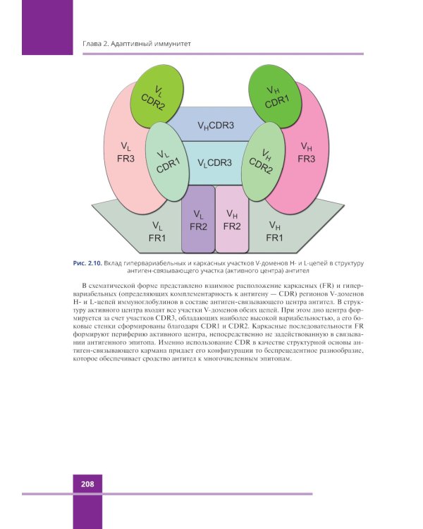 Иммунология. Атлас. 3-е изд., обновл