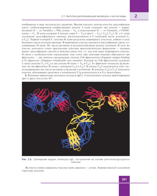 Иммунология. Атлас. 3-е изд., обновл