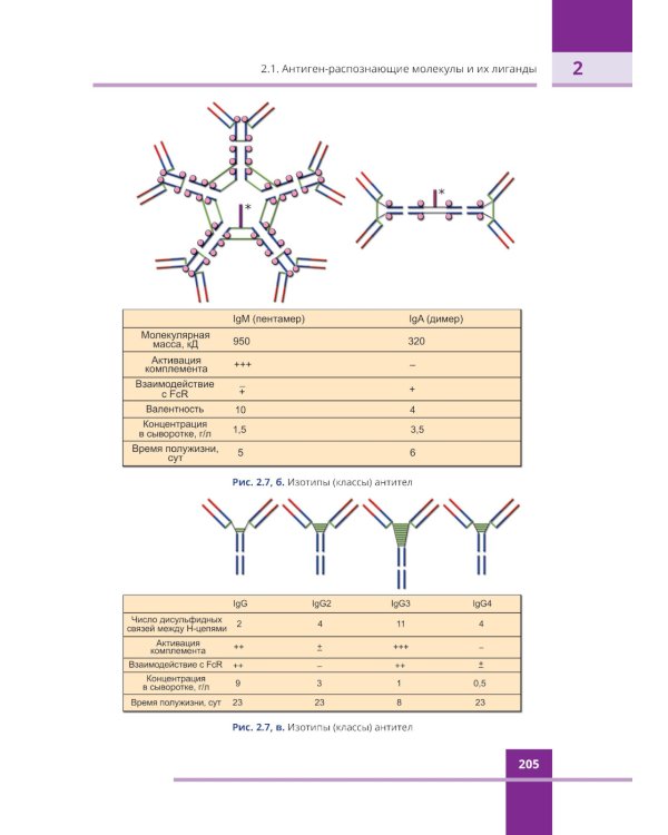 Иммунология. Атлас. 3-е изд., обновл