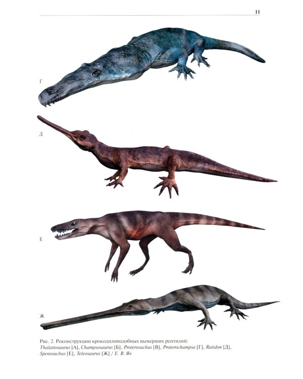 Крокодилы мира. Энциклопедия