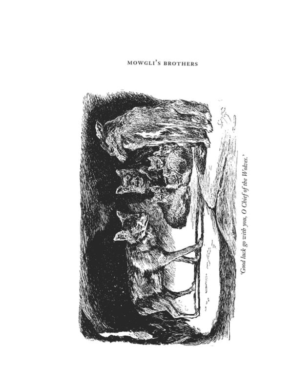 The Jungle Book & The Second Jungle Book