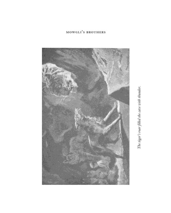 The Jungle Book & The Second Jungle Book