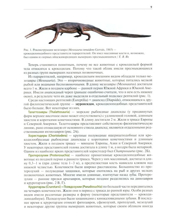 Крокодилы мира. Энциклопедия