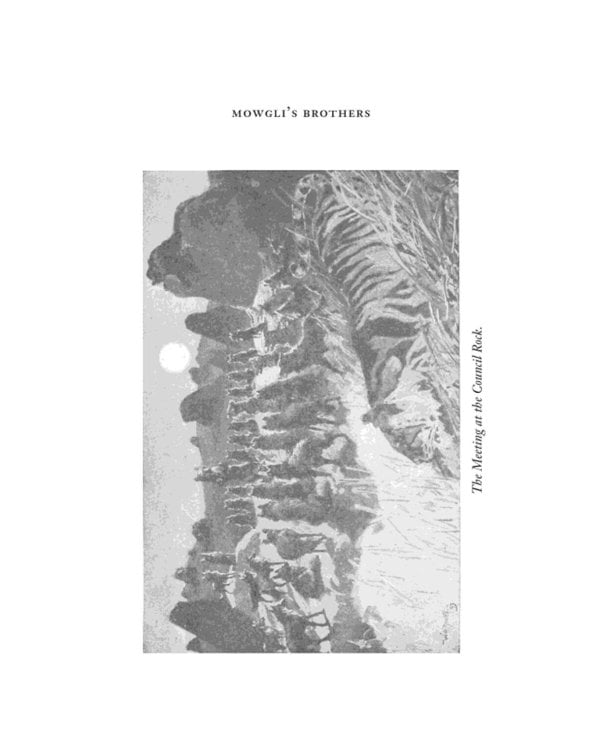 The Jungle Book & The Second Jungle Book