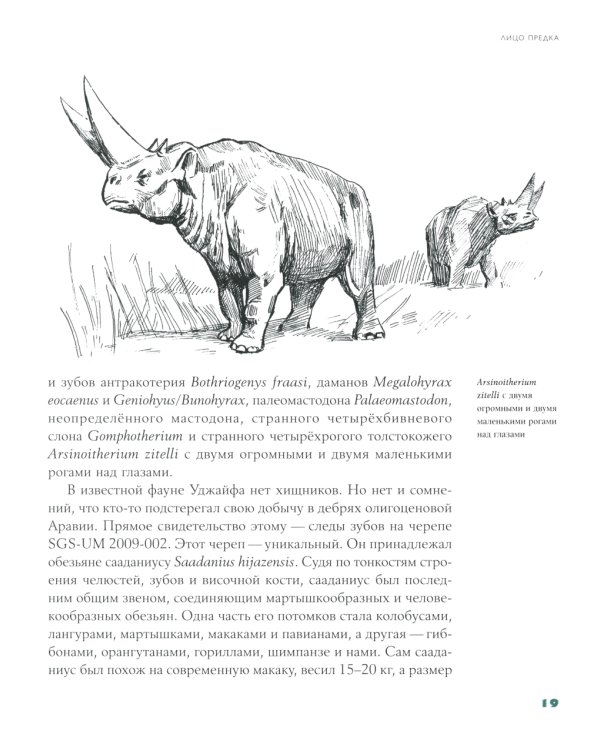 Борьба за обед: Еще 50 баек из грота