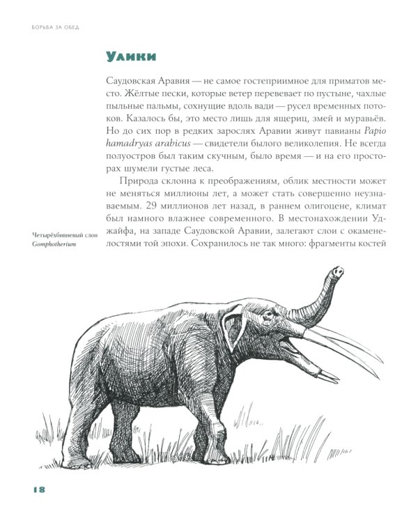 Борьба за обед: Еще 50 баек из грота