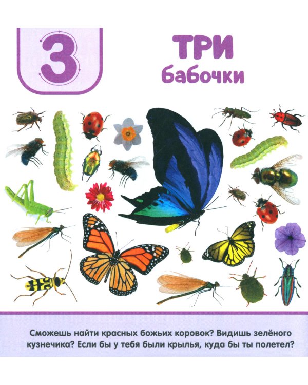 Цифры. Первая фотокнига малыша