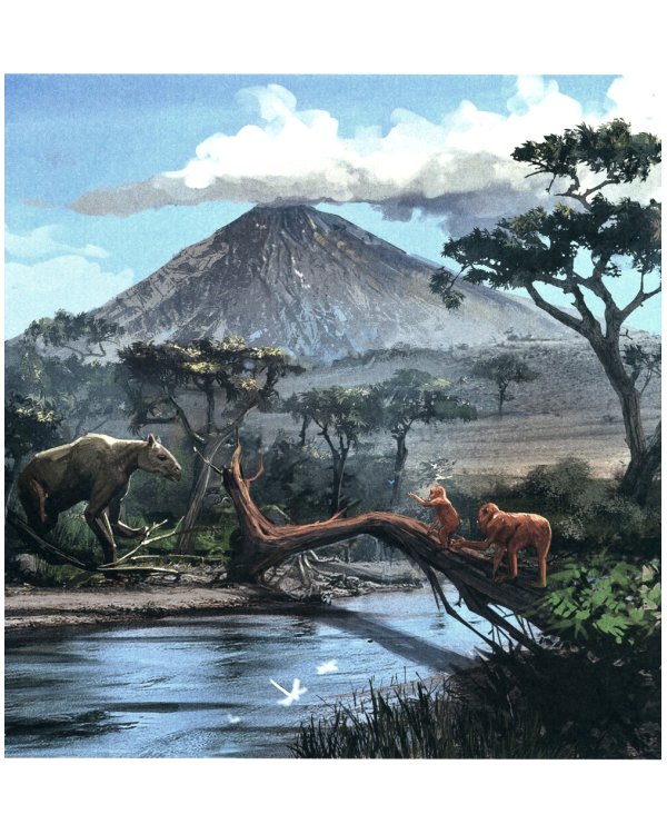 Борьба за обед: Еще 50 баек из грота