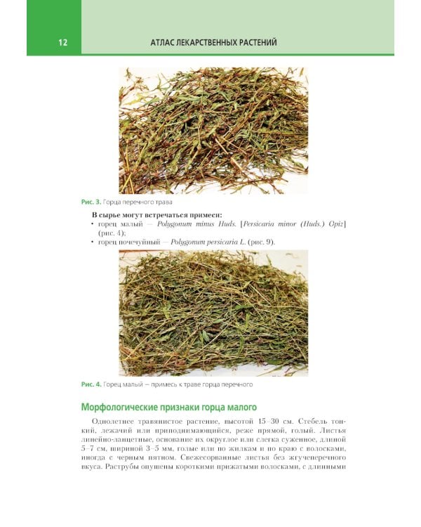 Атлас лекарственных растений и примесей к ним: Учебное пособие