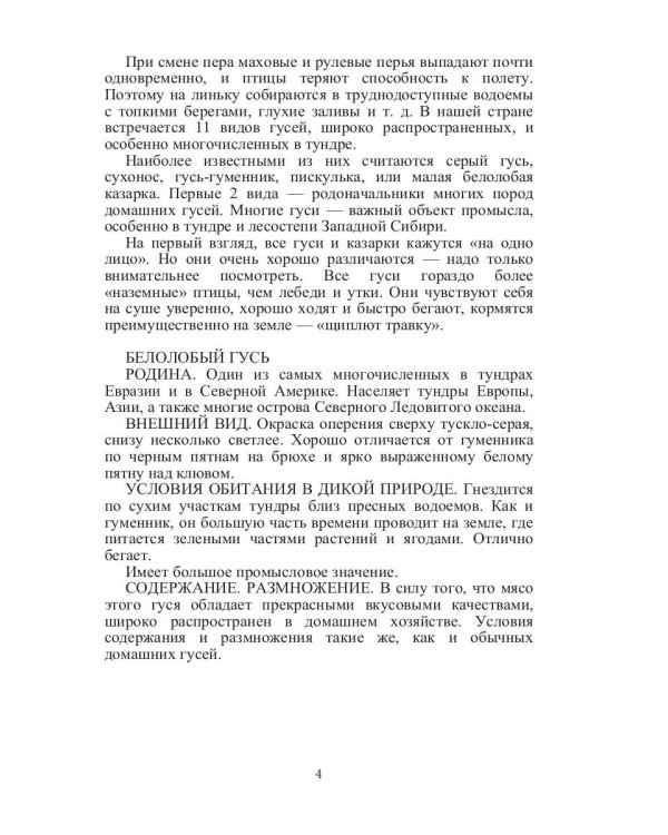 Такие знакомые птицы: гуси, лебеди, утки, куры, стрижи, совы, орлы, соколы