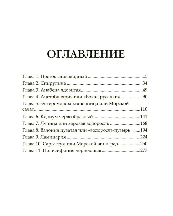 Стихийный мир-2. Морской эмир