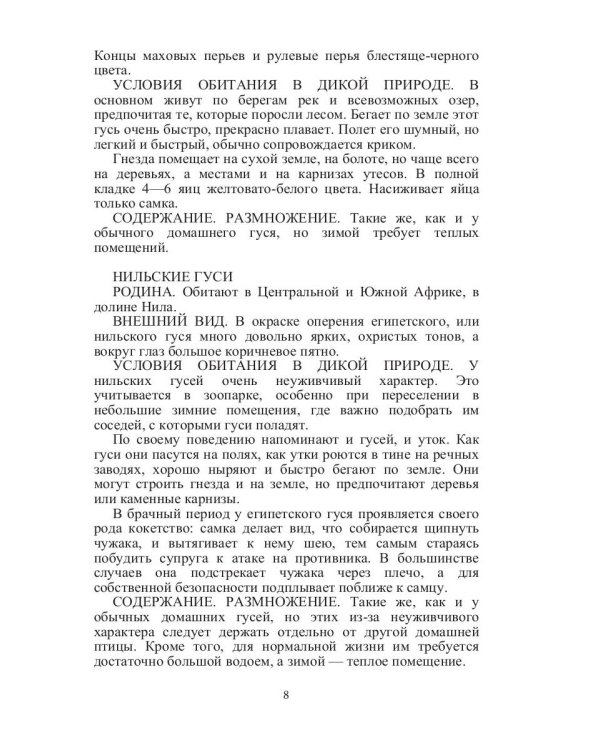 Такие знакомые птицы: гуси, лебеди, утки, куры, стрижи, совы, орлы, соколы