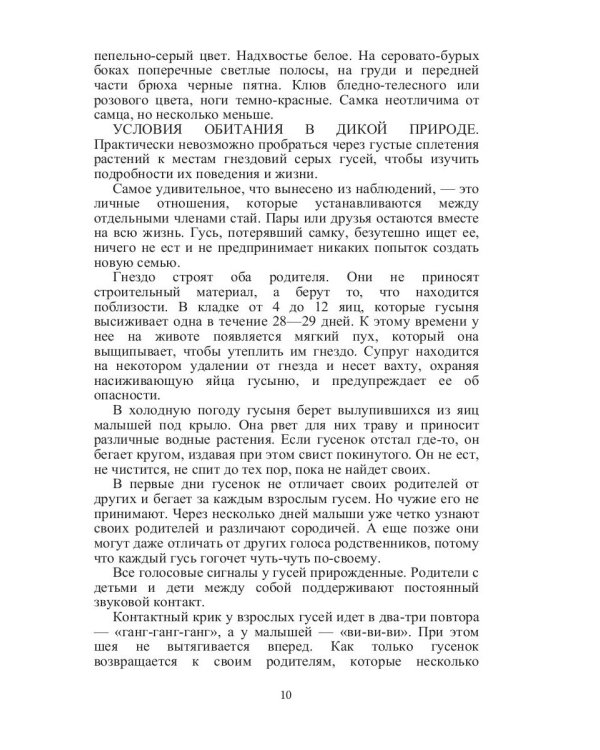 Такие знакомые птицы: гуси, лебеди, утки, куры, стрижи, совы, орлы, соколы