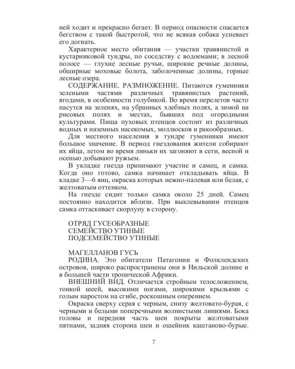 Такие знакомые птицы: гуси, лебеди, утки, куры, стрижи, совы, орлы, соколы