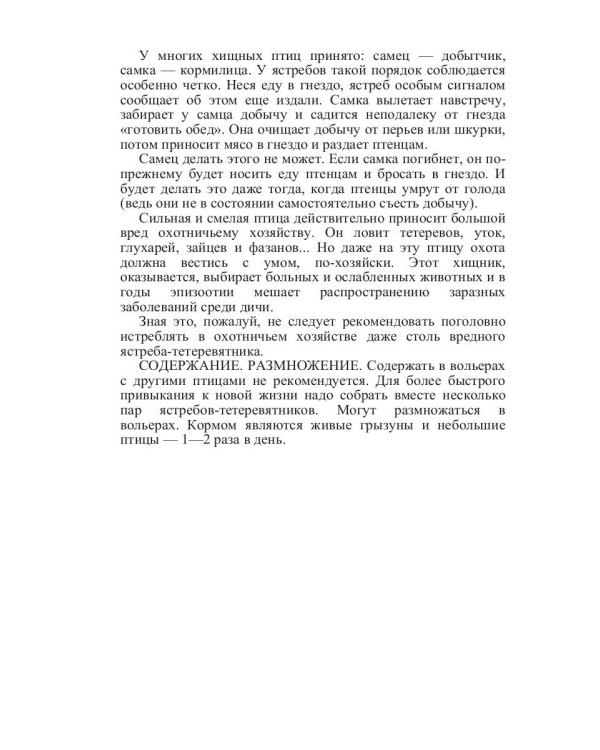 Такие знакомые птицы: гуси, лебеди, утки, куры, стрижи, совы, орлы, соколы