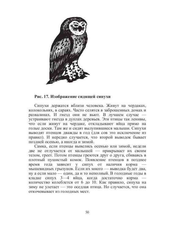 Такие знакомые птицы: гуси, лебеди, утки, куры, стрижи, совы, орлы, соколы