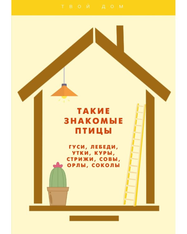 Такие знакомые птицы: гуси, лебеди, утки, куры, стрижи, совы, орлы, соколы