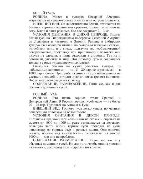 Такие знакомые птицы: гуси, лебеди, утки, куры, стрижи, совы, орлы, соколы