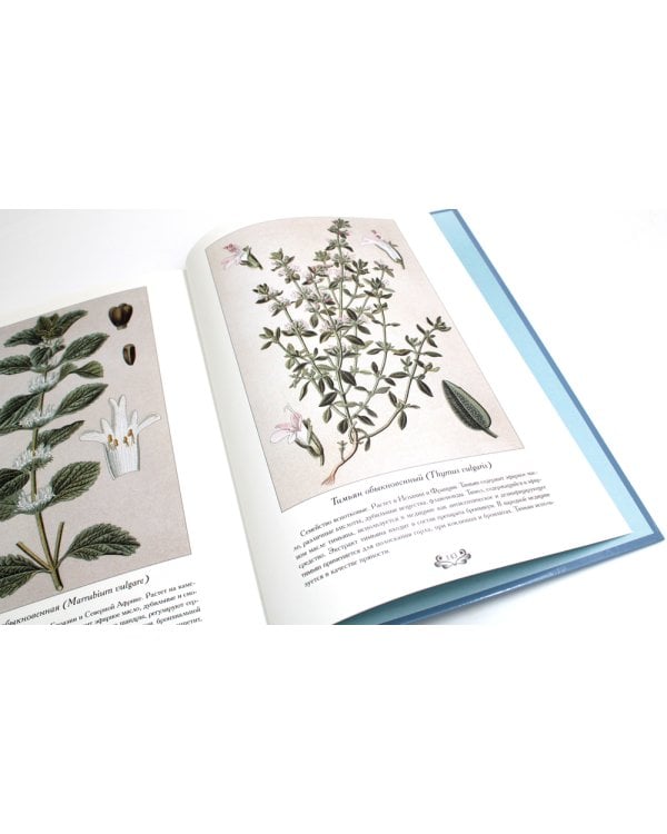 Атлас русских лекарственных растений