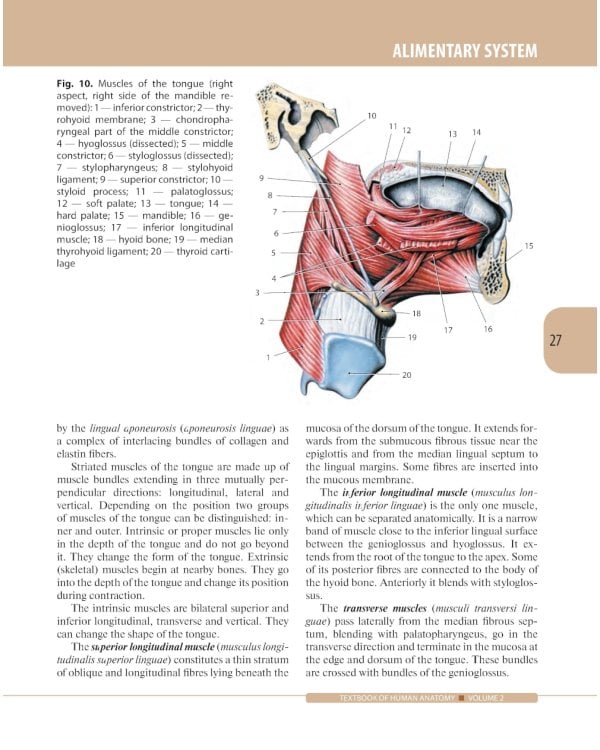 Textbook of Human Anatomy. In 3 vol. Vol. 2. Splanchnology and cardiovascular system: на англ.яз