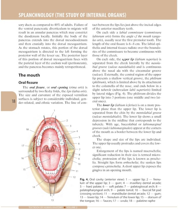 Textbook of Human Anatomy. In 3 vol. Vol. 2. Splanchnology and cardiovascular system: на англ.яз