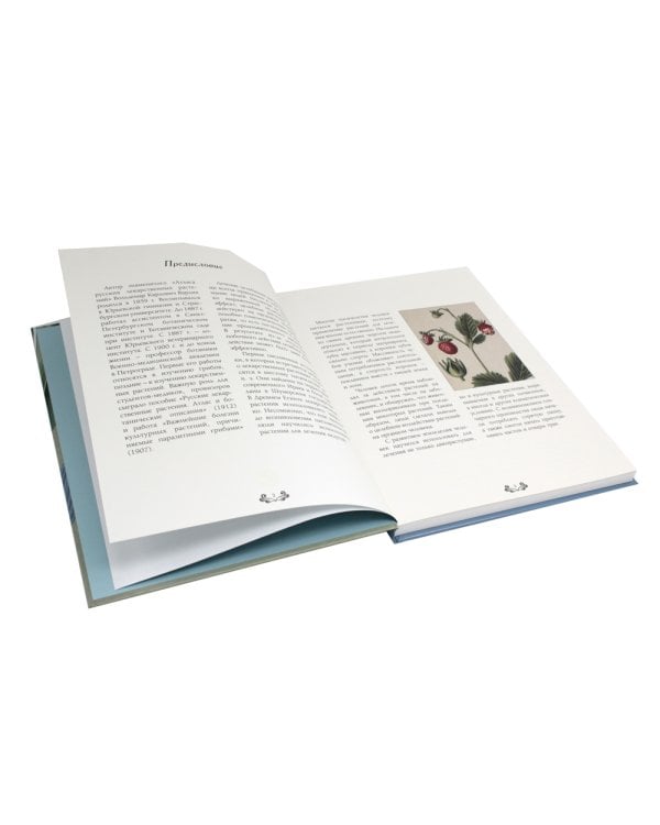 Атлас русских лекарственных растений