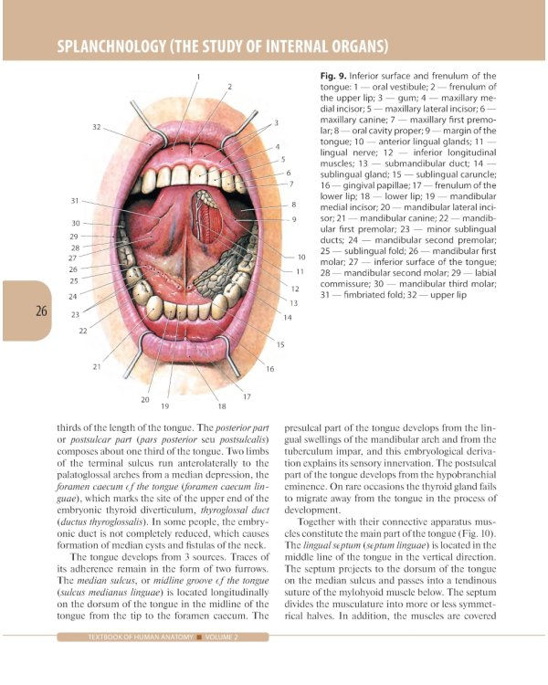 Textbook of Human Anatomy. In 3 vol. Vol. 2. Splanchnology and cardiovascular system: на англ.яз