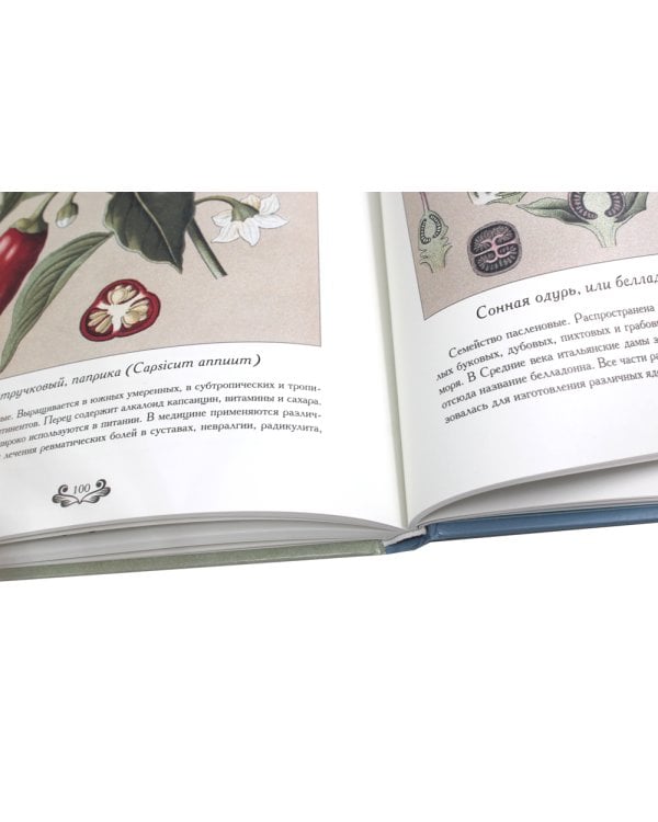 Атлас русских лекарственных растений