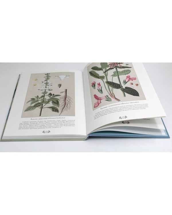 Атлас русских лекарственных растений