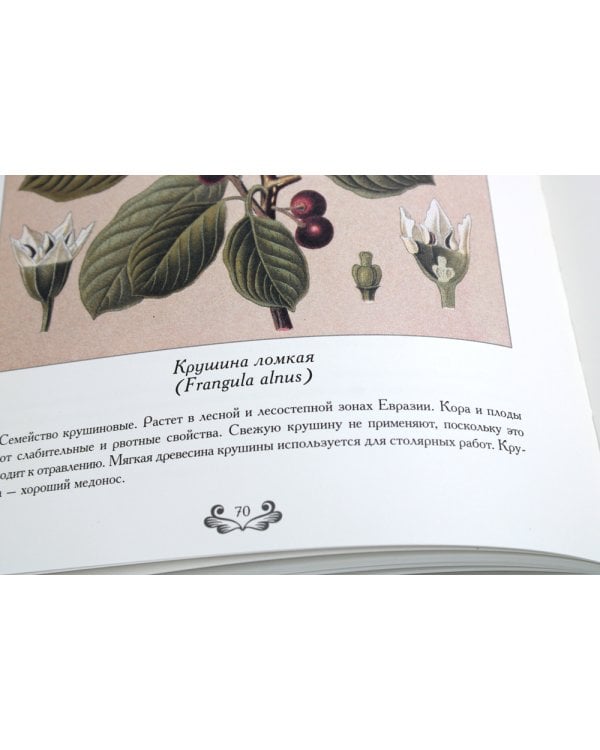 Атлас русских лекарственных растений