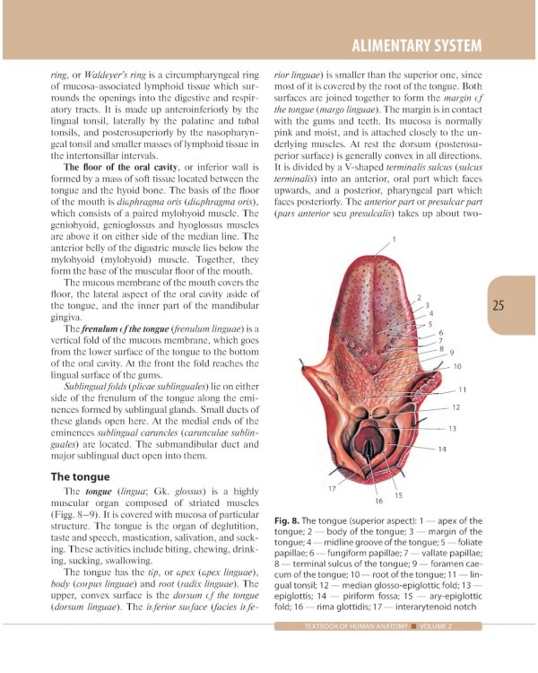 Textbook of Human Anatomy. In 3 vol. Vol. 2. Splanchnology and cardiovascular system: на англ.яз