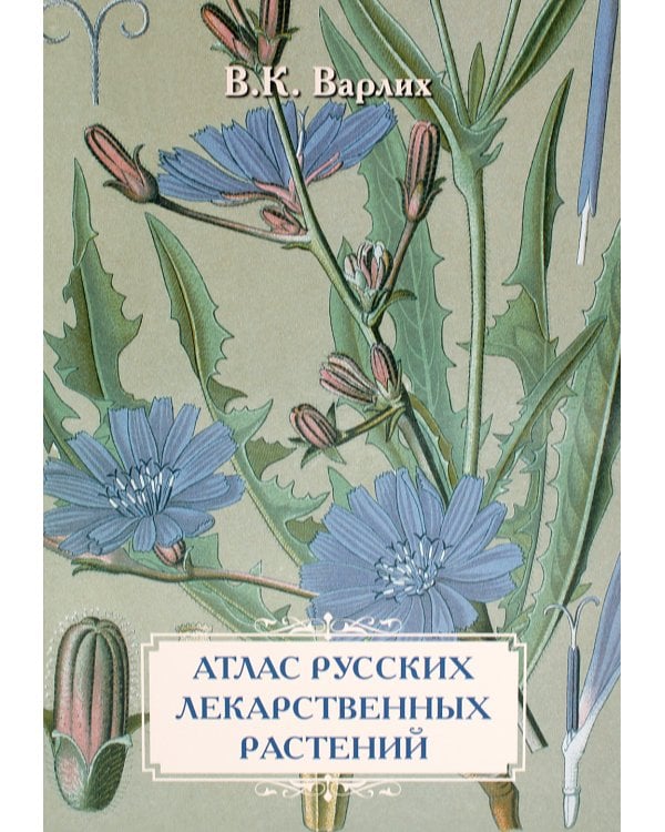 Атлас русских лекарственных растений