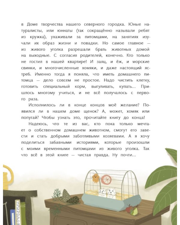 Пират в сиреневых тонах