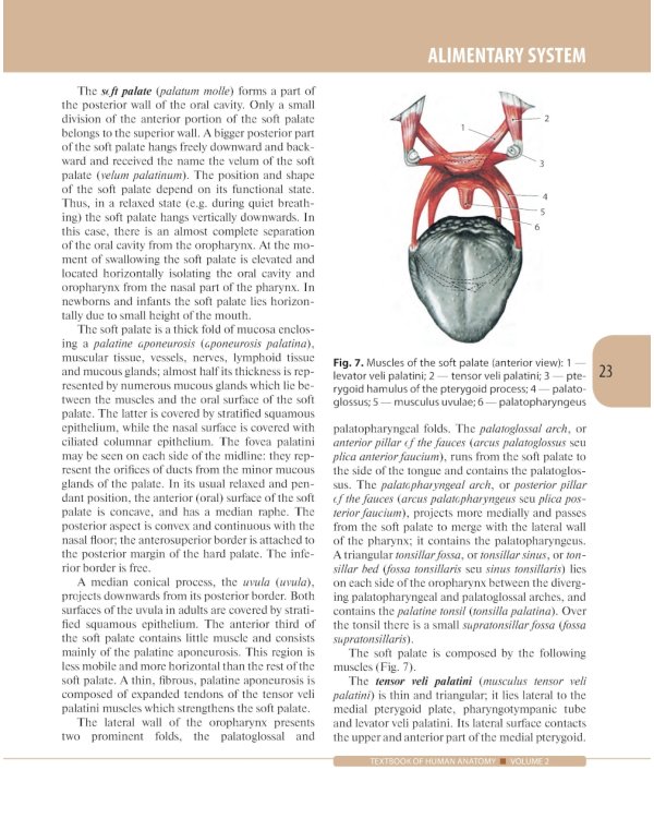 Textbook of Human Anatomy. In 3 vol. Vol. 2. Splanchnology and cardiovascular system: на англ.яз