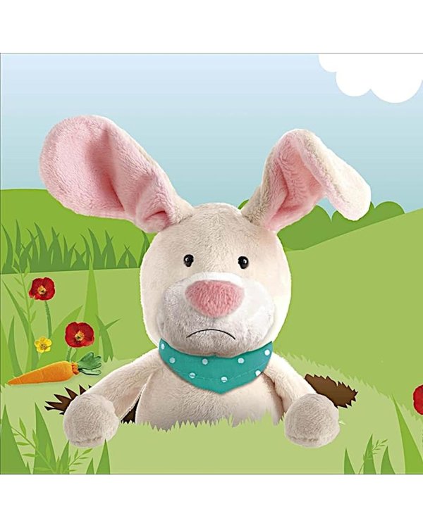 Bounce! Bounce! Bunnny