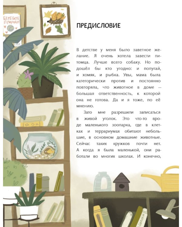 Пират в сиреневых тонах