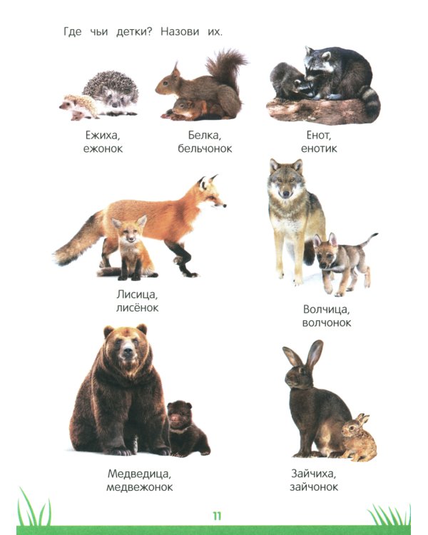 Энциклопедия дошкольника: 3-4 года