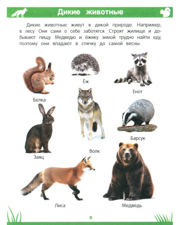 Энциклопедия дошкольника: 3-4 года