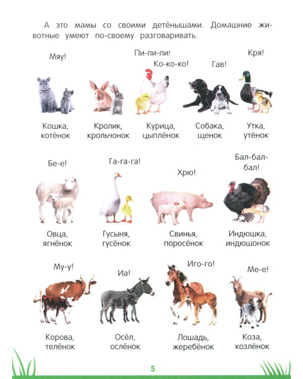 Энциклопедия дошкольника: 3-4 года