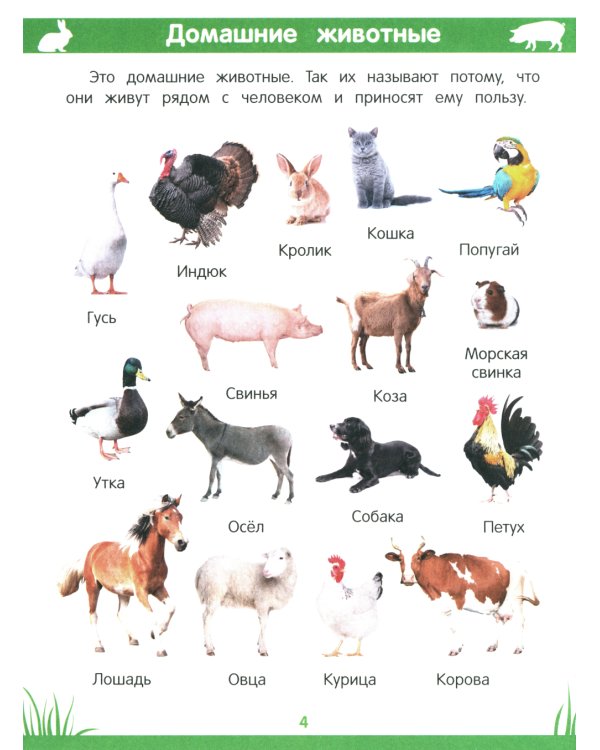 Энциклопедия дошкольника: 3-4 года