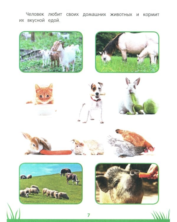 Энциклопедия дошкольника: 3-4 года