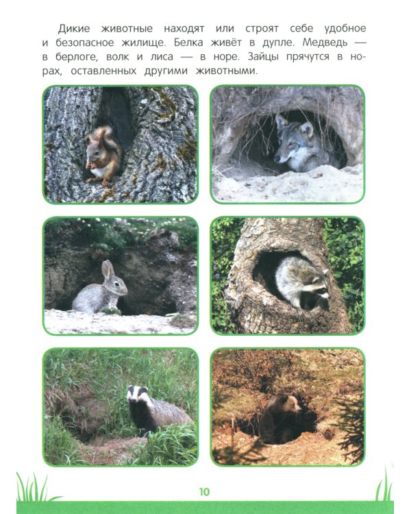 Энциклопедия дошкольника: 3-4 года