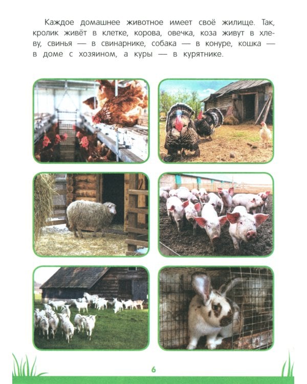 Энциклопедия дошкольника: 3-4 года